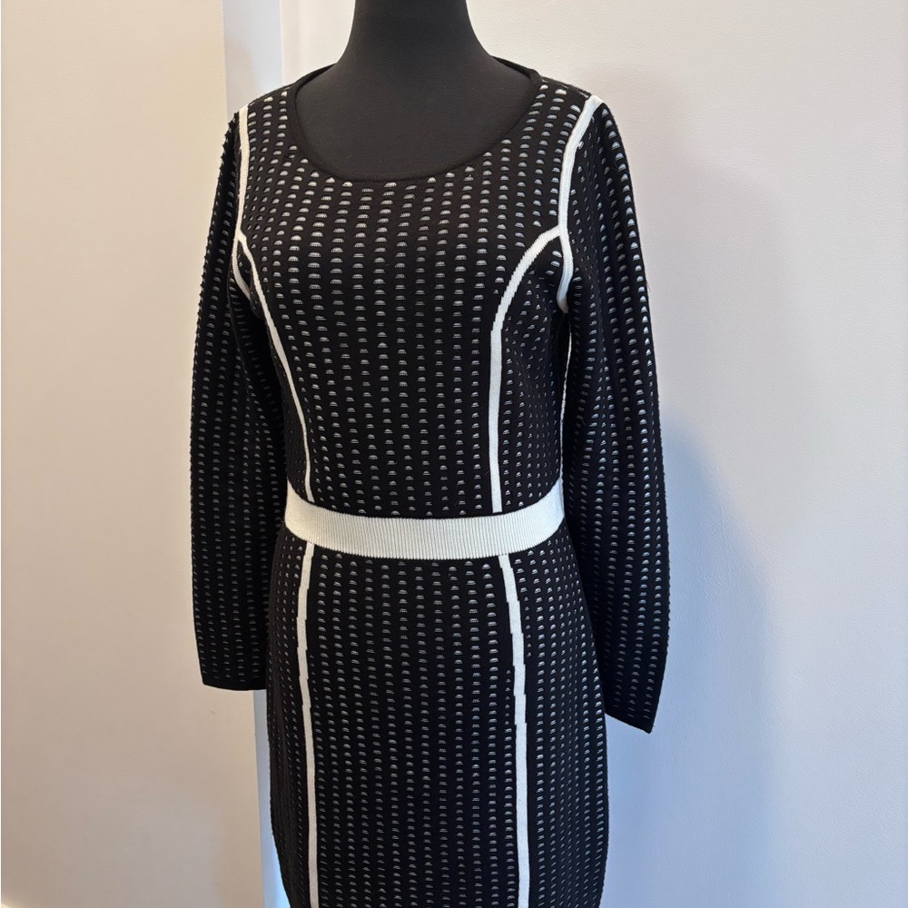Calvin Klein Black and White Long Sleeve Dress